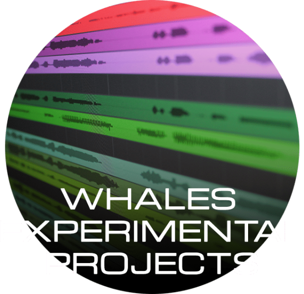 WHALES-EXPERIMENTAL-PROJECTS-BUTTON